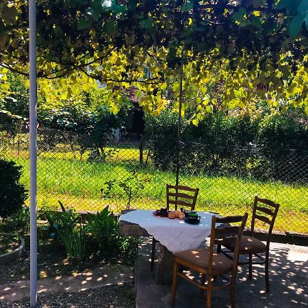 Dea Hotell Zugdidi Exteriör bild